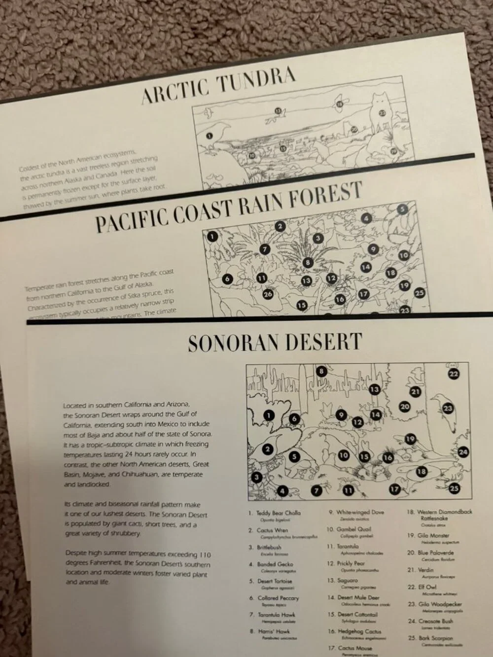 3 sheets of nature of America series stamps